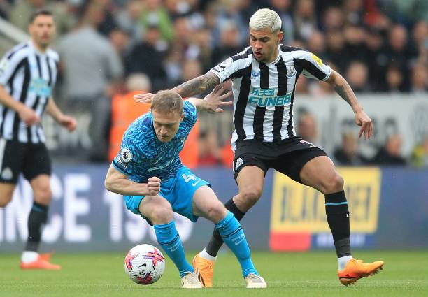 他们强调个 他们强调个