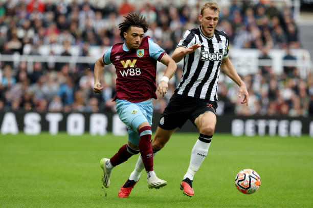 不仅是对对 不仅是对对