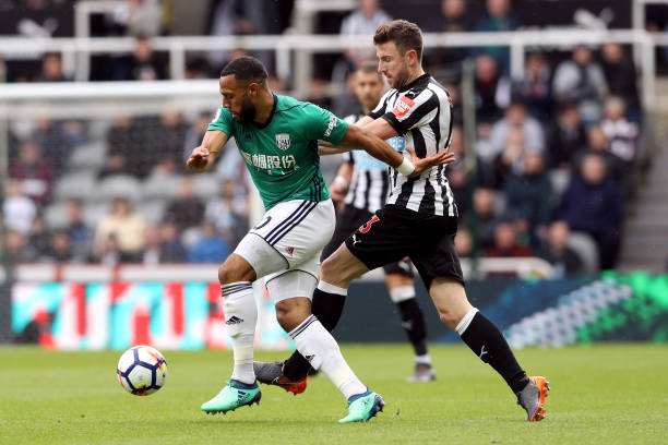 带来稳定的 带来稳定的