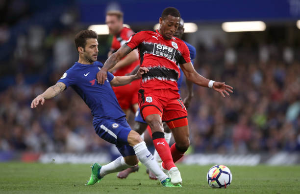 洲联赛冠军 洲联赛冠军