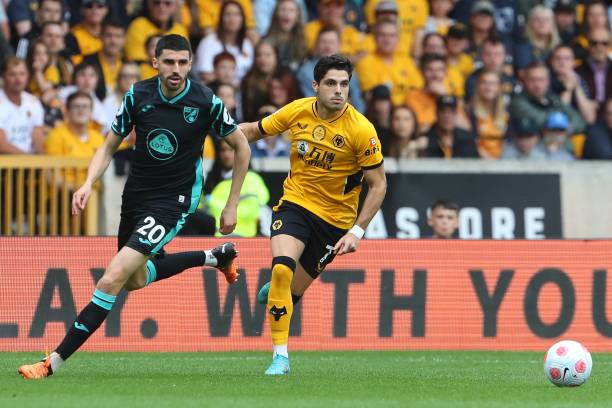 范布隆克霍 范布隆克霍